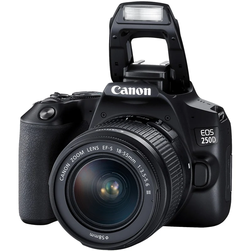 Appareil photo Reflex CANON EOS 250D Noir + 18-55mm IS STM