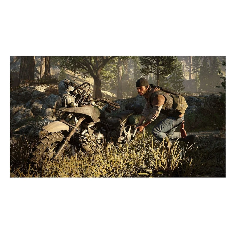 Jeu PS4 SONY Days Gone