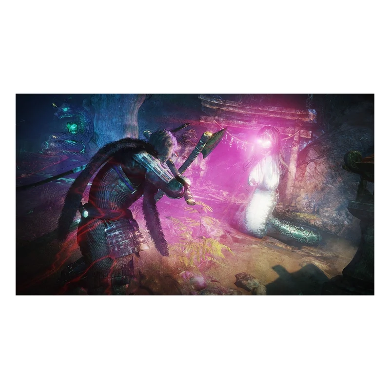 Jeu PS4 SONY Nioh 2