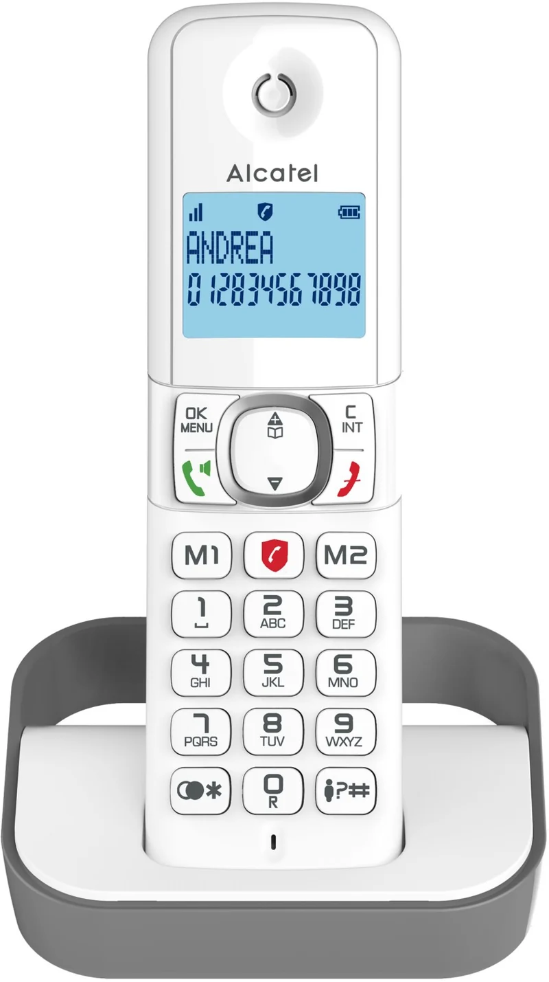Téléphone sans fil ALCATEL F860 Solo Grey