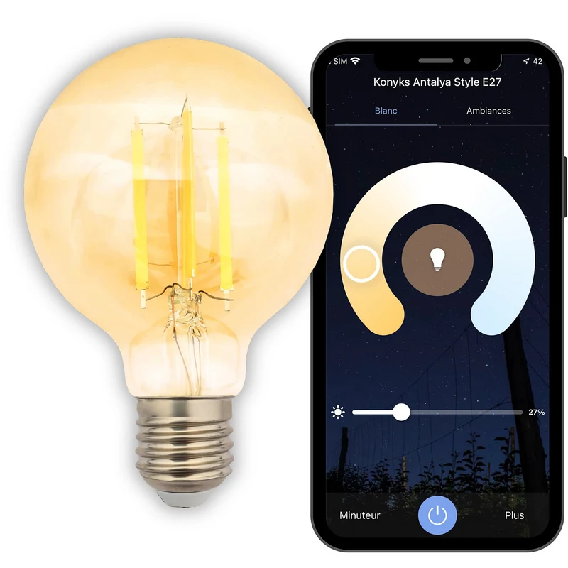 Ampoule LED connectée KONYKS Ampoule à filaments Antalya style G80