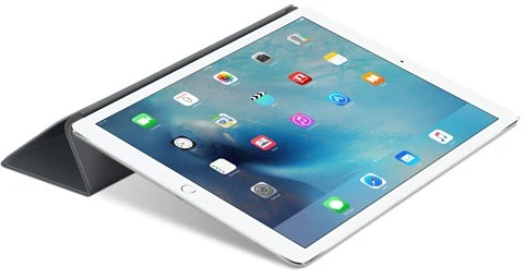 Etui APPLE iPad Pro 12.9 silicone gris
