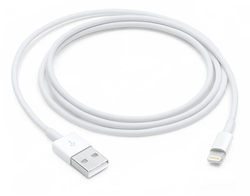 Câble Lightning APPLE vers USB 1m