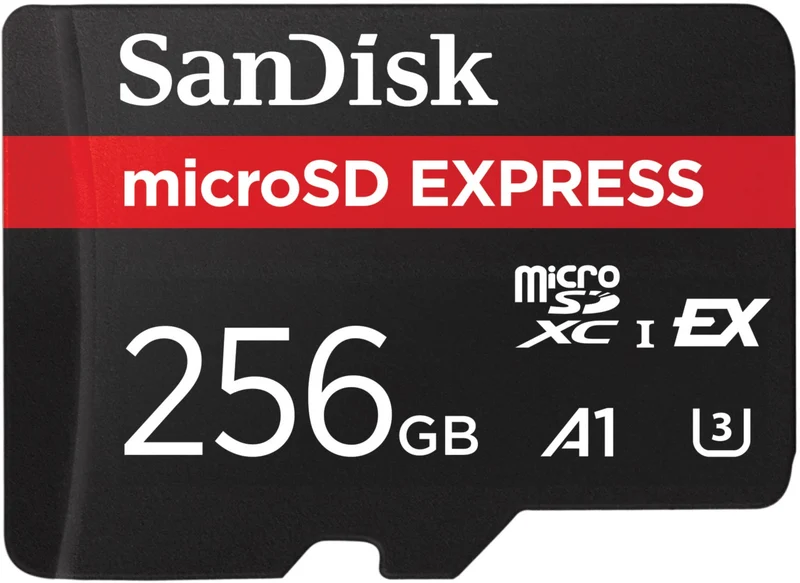 Carte Micro SD SANDISK 256Go Express