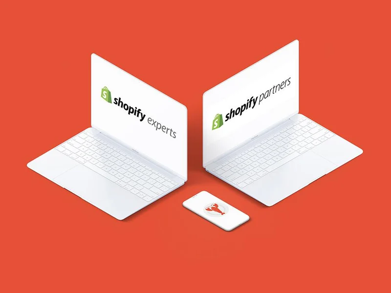 Agence audit e-commerce : faire un audit de son site Shopify
