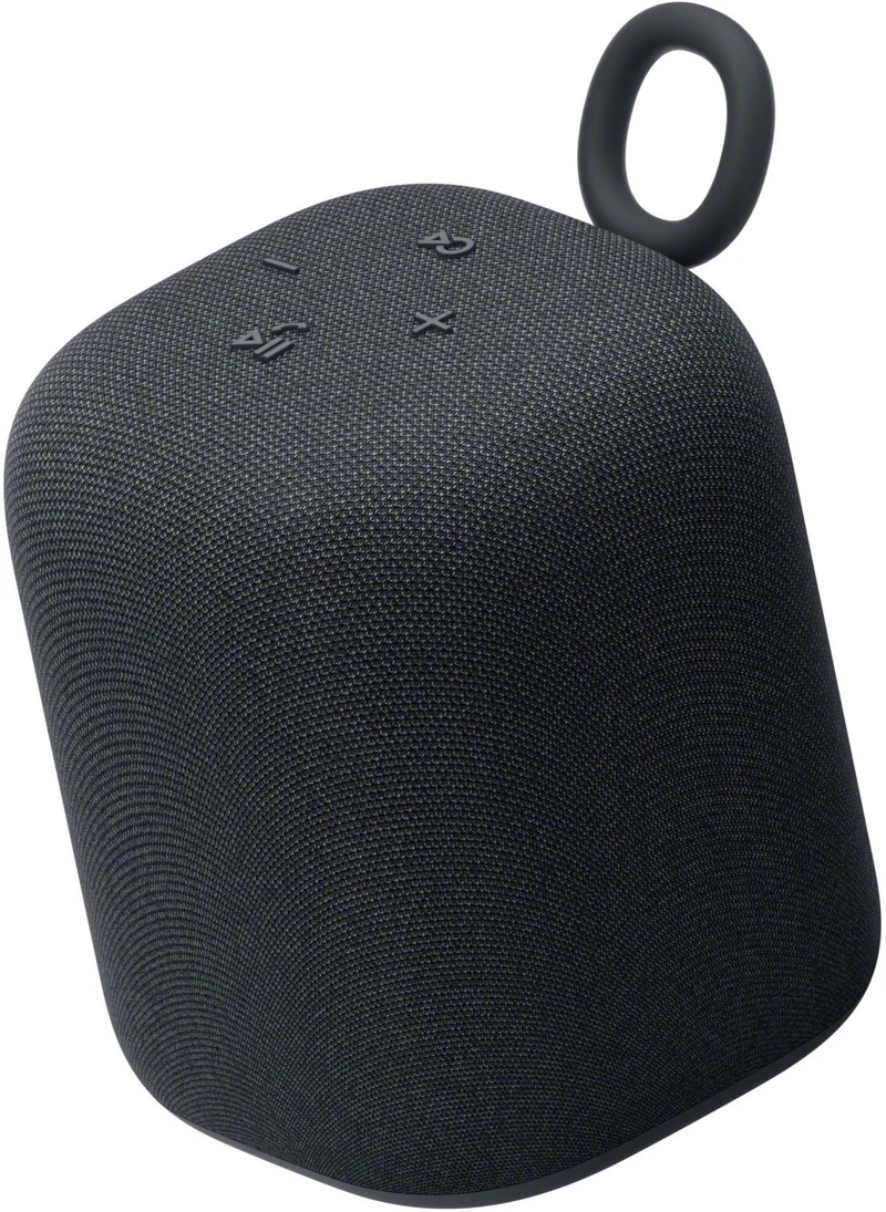 Enceinte portable SONY LINKBUDS Speaker Noire