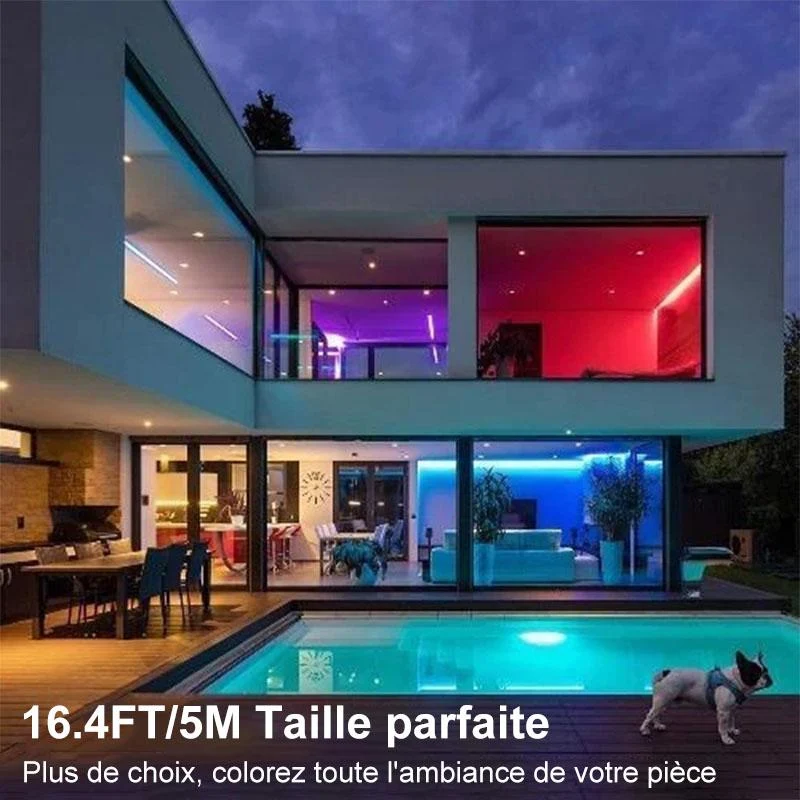 Bande Lumineuse à Télécommande LED Colorée