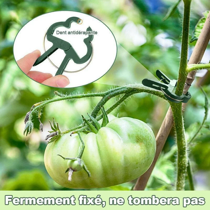 Clip de boucle de tige de fleur de jardin réutilisable