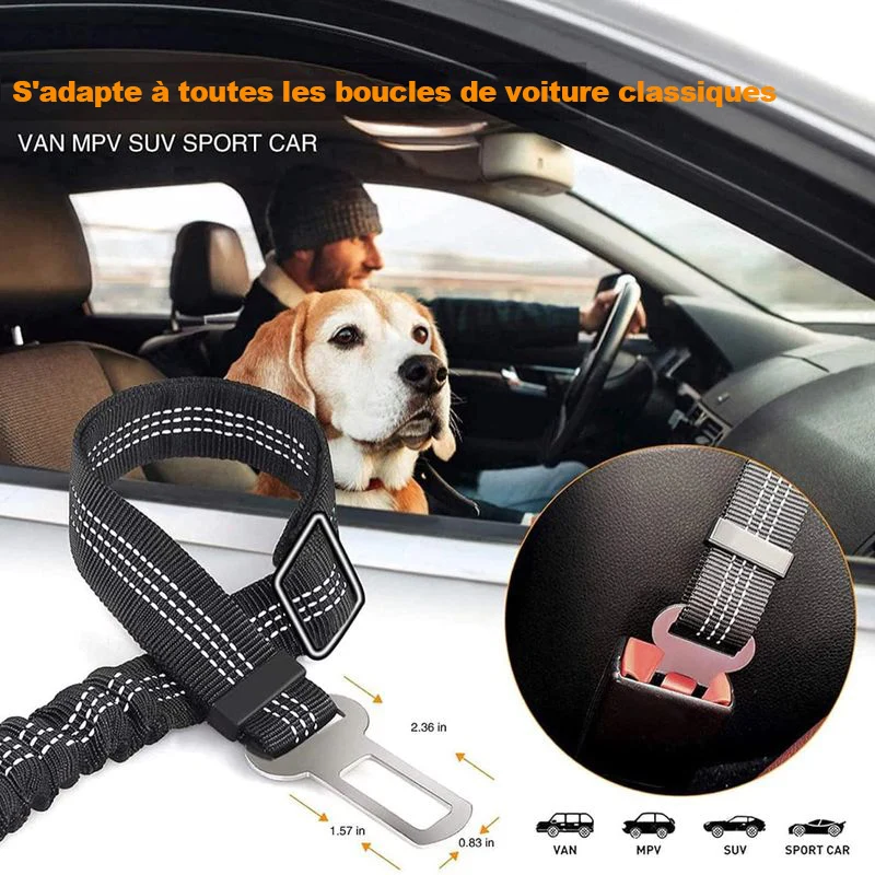 Ceinture de sécurité de voiture pour animaux de compagnie
