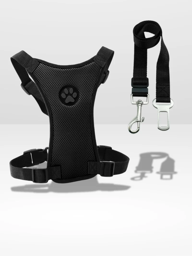 Harnais Chien Voiture | Sécurité Canine ®